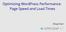 Optimizing WordPress Performance: Page Speed and Load Times. Doug Yuen