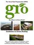 Guidelines to Green Roofing