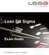 Lean Six Sigma. Exam Guide. Dr. R. Messnarz / D. Ekert / H.C. Theisens