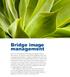 Bridge image management