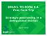 BRASIL TELECOM S.A. First Field Trip Strategic positioning in a deregulated market