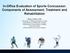 In-Office Evaluation of Sports Concussion: Components of Assessment, Treatment and Rehabilitation