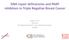 DNA repair deficiencies and PARP inhibitors in Triple Negative Breast Cancer. Andrew Tutt Director Breakthrough Breast Cancer Research Centre London