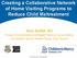 Creating a Collaborative Network of Home Visiting Programs to Reduce Child Maltreatment