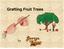 Grafting Fruit Trees