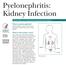 Pyelonephritis: Kidney Infection