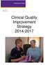 Item 6.1a. Clinical Quality Improvement Strategy 2014-2017