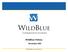 WildBlue History. November 2007. 2007 WildBlue Communications, Inc