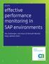 effective performance monitoring in SAP environments