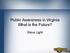 Public Awareness in Virginia What is the Future? Steve Light