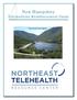 New Hampshire Telemedicine Reimbursement Guide. Franconia Notch, New Hampshire