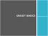 CREDIT BASICS. Advanced Level