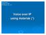 Ryan Brown October 9, 2004 The Burgh Live, LLC. Voice over IP using Asterisk (*)