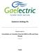 Gaelectric Holdings Plc