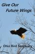 Give Our Future Wings