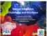 Special Education Challenges and Solutions