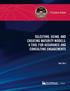 Practice Guide. Selecting, Using, and Creating Maturity Models: A Tool for Assurance and Consulting Engagements