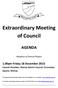 Extraordinary Meeting of Council