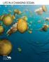 LIFE IN A CHANGING OCEAN