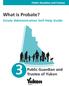 Public Guardian and Trustee. What is Probate? Estate Administration Self-Help Guide. Public Guardian and Trustee of Yukon