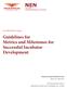 Guidelines for Metrics and Milestones for Successful Incubator Development