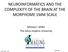 NEUROINFORMATICS AND THE COMPLEXITY OF THE BRAIN AT THE MORPHOME 1MM SCALE