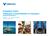 Company Case: Vallourec s Commitment to Houston. Douglas A. Polk, VP Industry Affairs Houston, May 4, 2015
