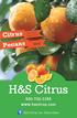 H&S Citrus 800-742-3355 www.hscitrus.com