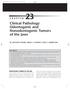 Clinical Pathology: Odontogenic and Nonodontogenic Tumors of the Jaws