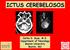 ICTUS CEREBELOSOS. Carlos S. Kase, M.D. Department of Neurology Boston University Boston, MA