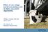 Effect of corn silage kernel processing score on dairy cow starch digestibility