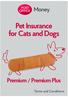 Pet Insurance for Cats and Dogs