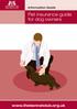 Pet insurance guide for dog owners