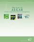 The Law of. A Guide to Algae Biofuels Business and Legal Issues. Compliments of