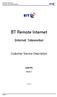 BT Remote Internet. Internet Teleworker. Customer Service Description. June 04. Issue 1. Internet Teleworker Customer Service Description.