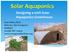 Solar Aquaponics Designing a 100% Solar Aquaponics Greenhouse