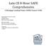 Late CE 8-Hour SAFE Comprehensive