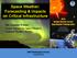Space Weather: Forecasting & Impacts on Critical Infrastructure