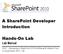 A SharePoint Developer Introduction