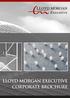 LLOYD MORGAN EXECUTIVE CORPORATE BROCHURE