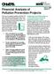 Financial Analysis of Pollution Prevention Projects