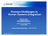 Process Challenges in Human Systems Integration