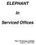ELEPHANT. Serviced Offices. The 116 Group Limited Telephone: 0203 3713333