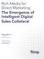 Rich Media for Direct Marketing: The Emergence of Intelligent Digital Sales Collateral