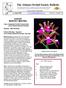 AUGUST MONTHLY MEETING. In This Issue. www.atlantaorchidsociety.o rg Volume 51: Number 8. Topic: Integrated Orchid Conservation