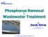 Phosphorus Removal. Wastewater Treatment