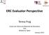 ERC Evaluator Perspective