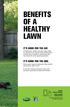 BENEFITS OF A HEALTHY LAWN
