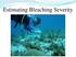 Estimating Bleaching Severity
