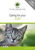 CAT. Caring for your FREE E-BOOK. The Lawn Veterinary Centre. lawnvets.co.uk. 38 Guildford Avenue Lawn Swindon Wiltshire SN3 1JE